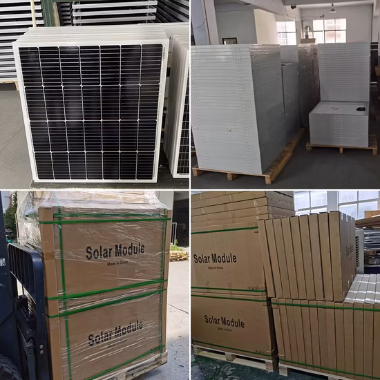 Listino prezzi pannello solare piccolo Sunpal 30wp 40wp 50wp 60wp 80wp 100wp 12v